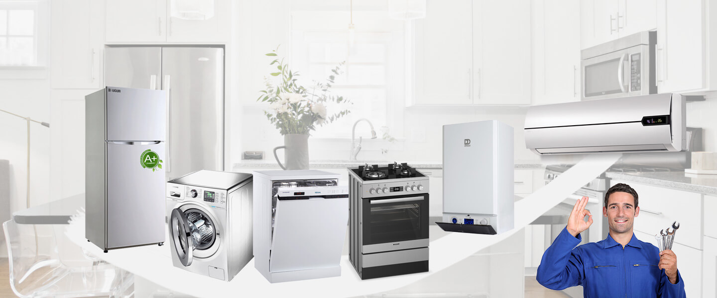 Karacasu Gorenje Servisi
